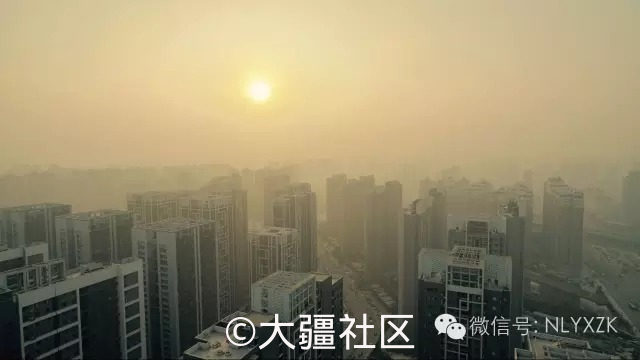 郑州市总面积 人口_郑州市总面积7446平方公里,截至... 全市总人口988.1(2)