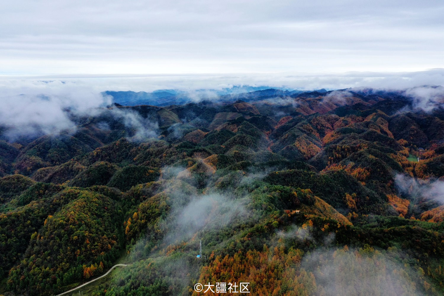 曾家山鸳鸯池林场