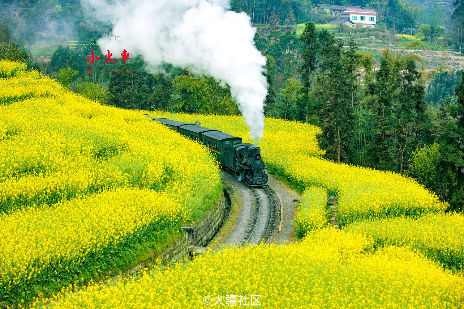 地点:四川省犍为县嘉阳小火车